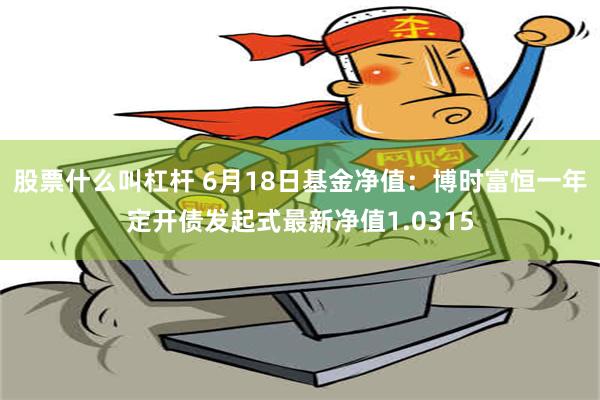 股票什么叫杠杆 6月18日基金净值：博时富恒一年定开债发起式最新净值1.0315