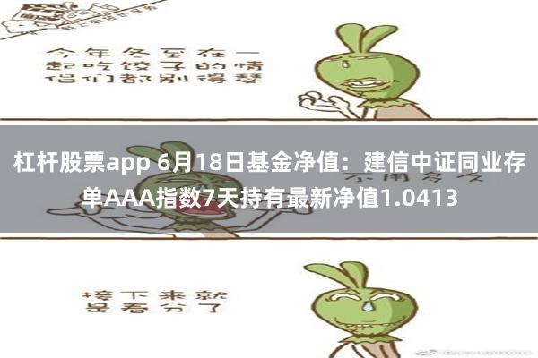 杠杆股票app 6月18日基金净值：建信中证同业存单AAA指数7天持有最新净值1.0413