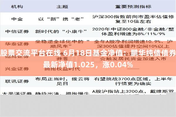 股票交流平台在线 6月18日基金净值：鹏华纯债债券最新净值1.025，涨0.04%