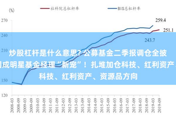 炒股杠杆是什么意思? 公募基金二季报调仓全披露，这些公司成明星基金经理“新宠”！扎堆加仓科技、红利资产、资源品方向