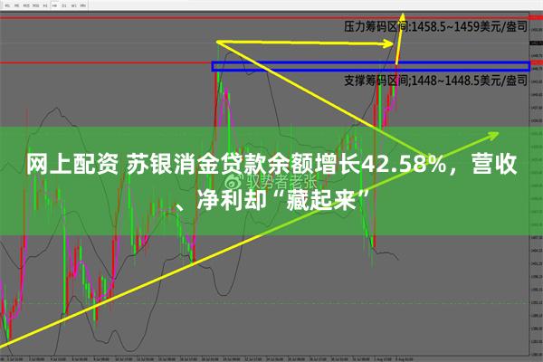 网上配资 苏银消金贷款余额增长42.58%，营收、净利却“藏起来”