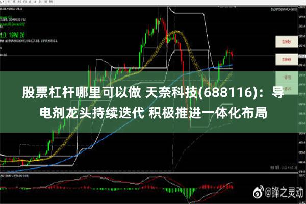 股票杠杆哪里可以做 天奈科技(688116)：导电剂龙头持续迭代 积极推进一体化布局