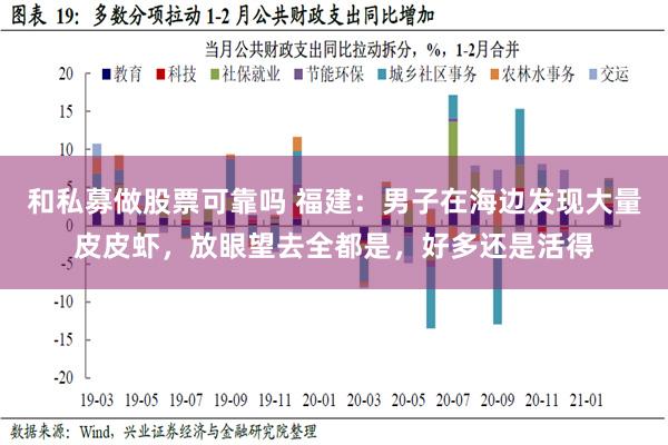 和私募做股票可靠吗 福建：男子在海边发现大量皮皮虾，放眼望去全都是，好多还是活得