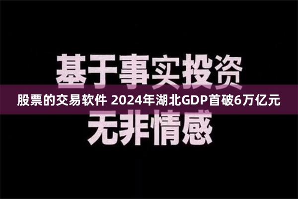 股票的交易软件 2024年湖北GDP首破6万亿元